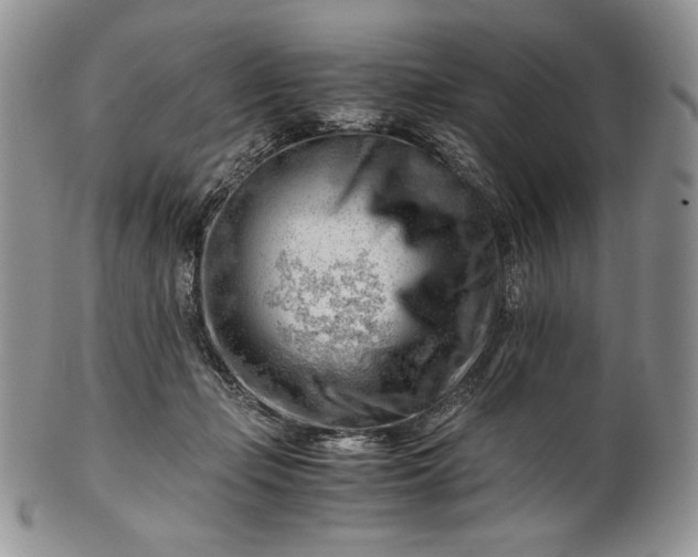 X0000101960365200808011113