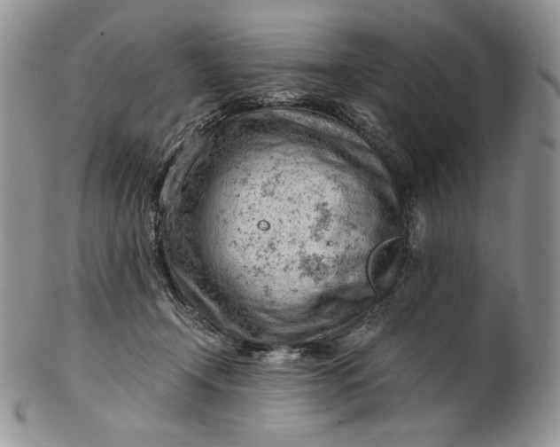 X0000101960366200808011113