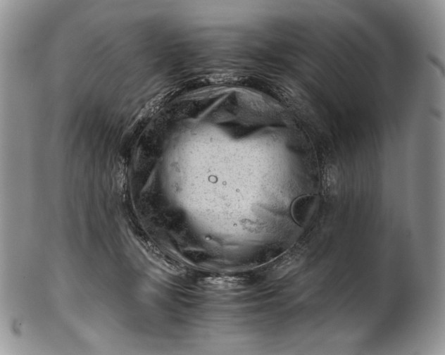 X0000101960367200808011113