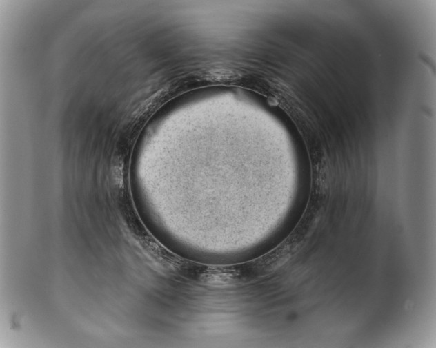 X0000101960368200808011113