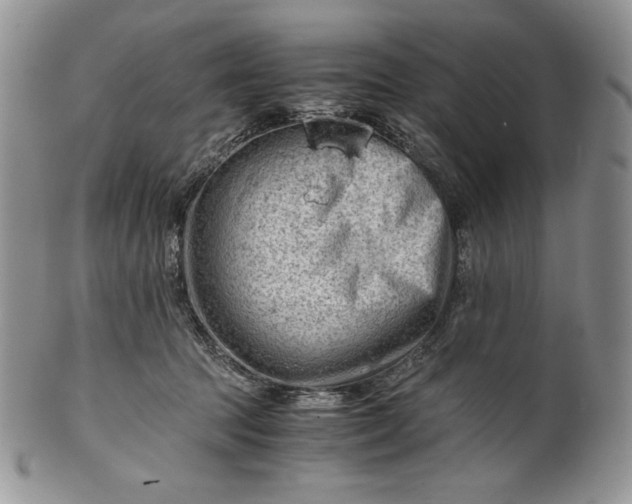 X0000101960369200808011113