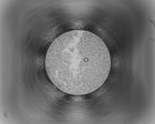 X0000101960370200808011113