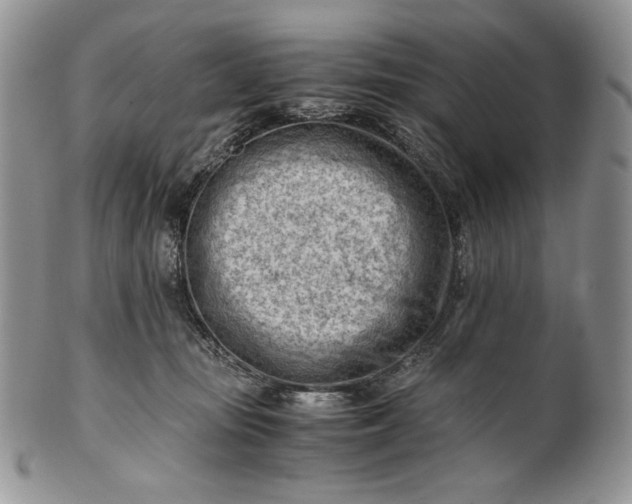 X0000101960371200808011113