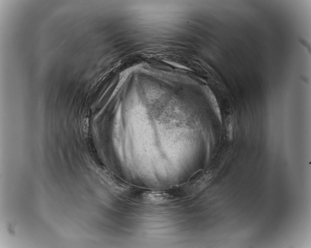 X0000101960372200808011113