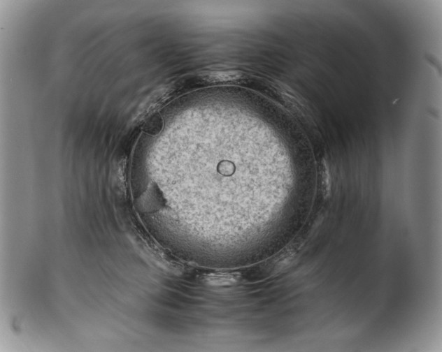 X0000101960373200808011113