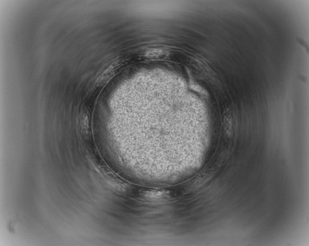 X0000101960375200808011113