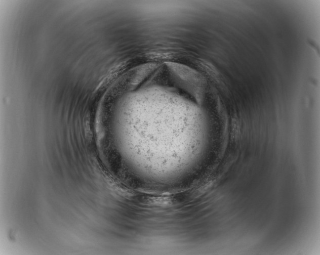 X0000101960377200808011113