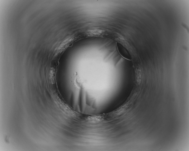 X0000101960378200808011113