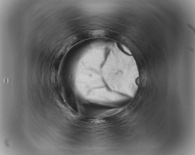 X0000101960379200808011113