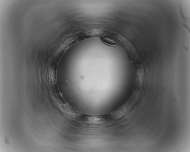 X0000101960380200808011113