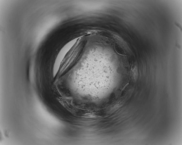 X0000101960381200808011113