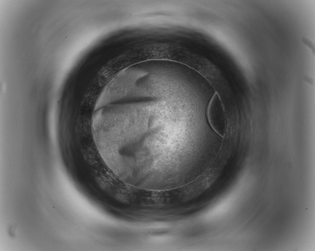 X0000101960383200808011113