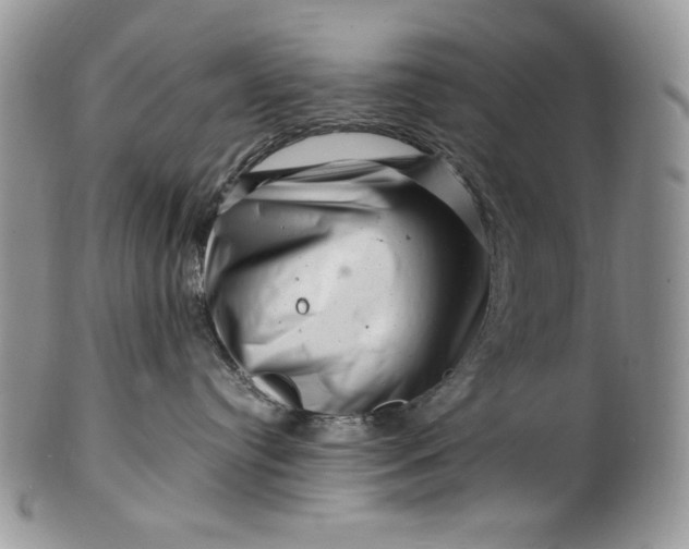 X0000101960384200808011113