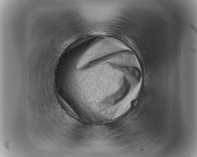 X0000101960385200808011113