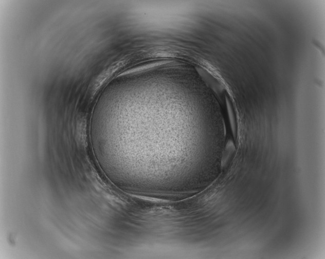 X0000101960386200808011113