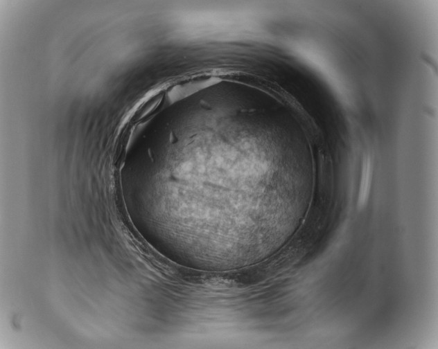 X0000101960387200808011113