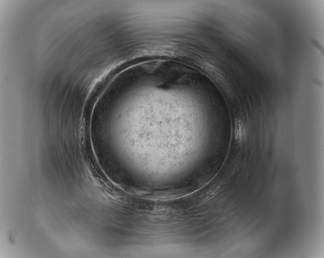 X0000101960388200808011113