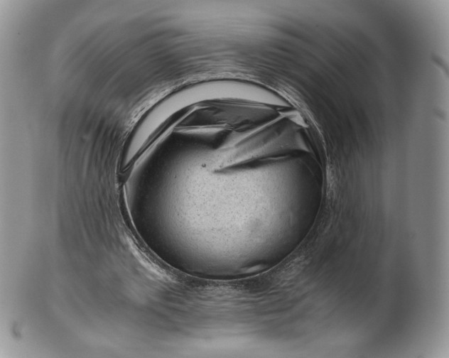 X0000101960389200808011113