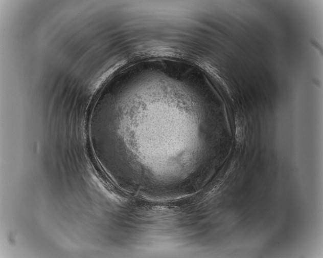 X0000101960390200808011113