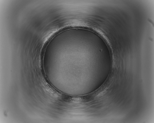 X0000101960391200808011113