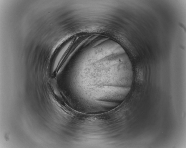 X0000101960392200808011112