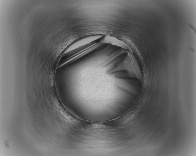 X0000101960393200808011112