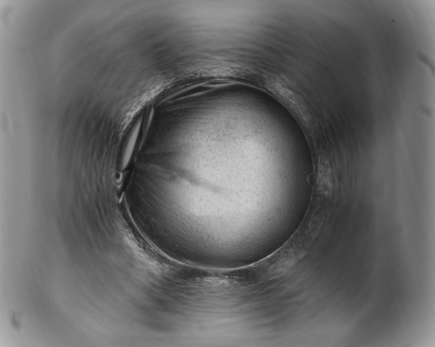 X0000101960394200808011112