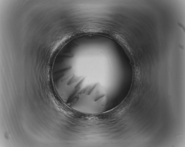 X0000101960395200808011112