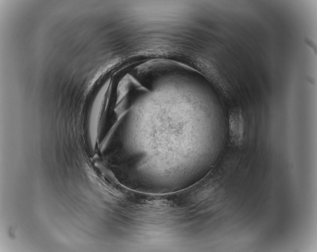 X0000101960396200808011112