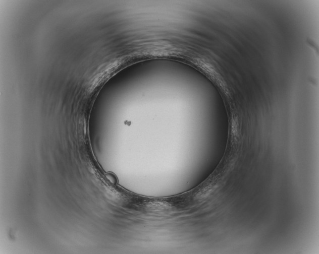 X0000101960397200808011112