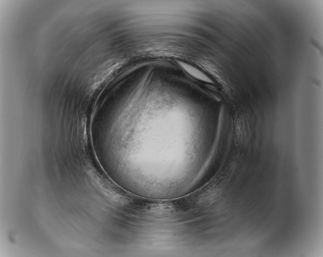 X0000101960398200808011112