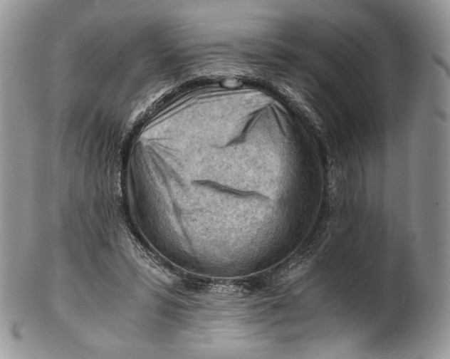 X0000101960399200808011112