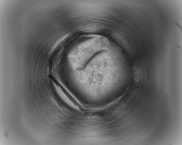 X0000101960400200808011112