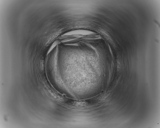 X0000101960401200808011112