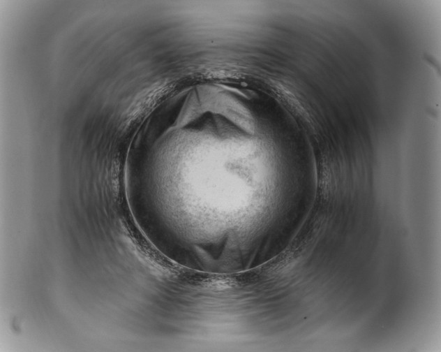 X0000101960402200808011112