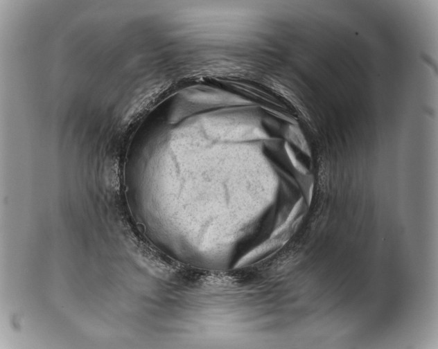 X0000101960403200808011112