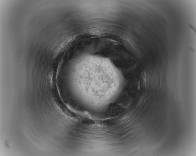 X0000101960404200808011112