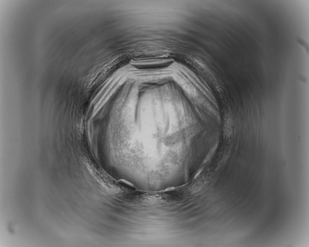 X0000101960405200808011112