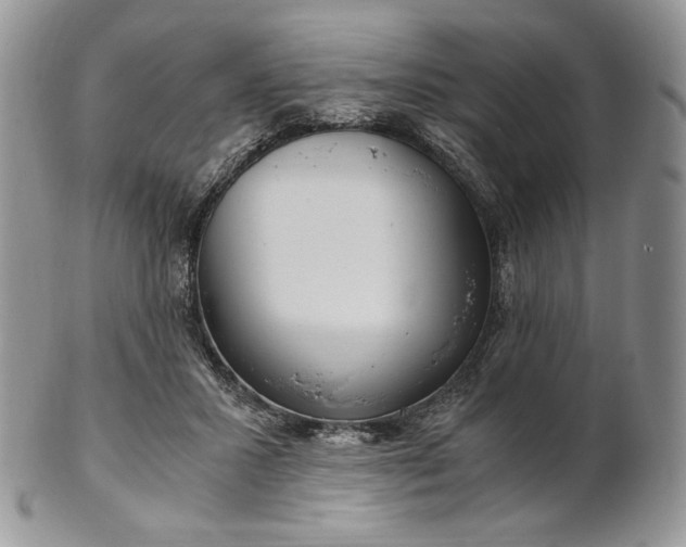 X0000101960407200808011112