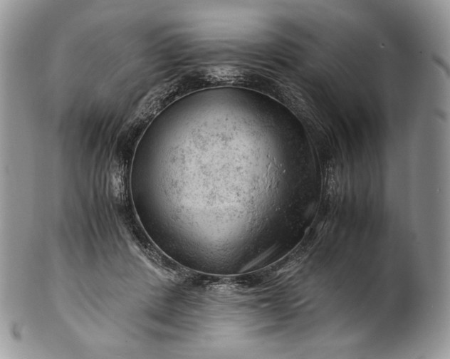 X0000101960408200808011112