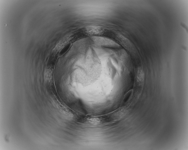 X0000101960409200808011112