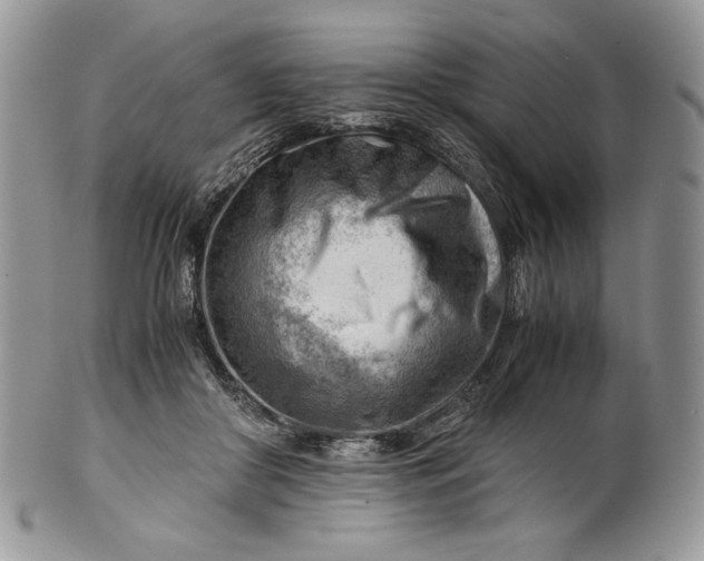 X0000101960410200808011112