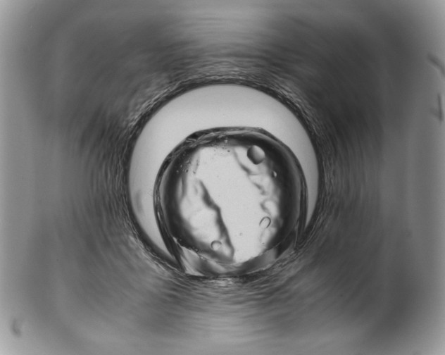 X0000101960411200808011112