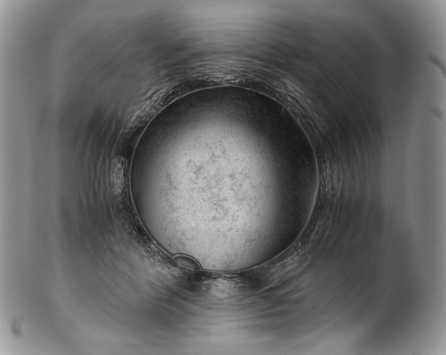 X0000101960412200808011112