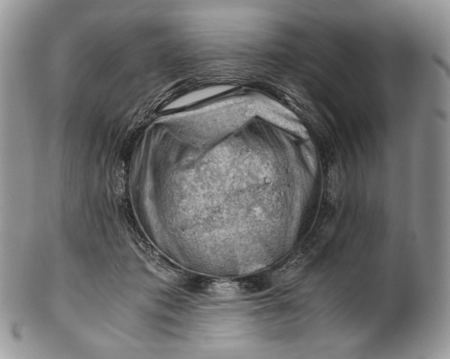 X0000101960413200808011112