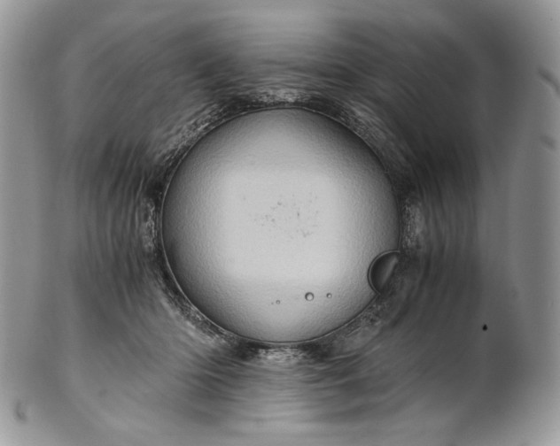 X0000101960414200808011112