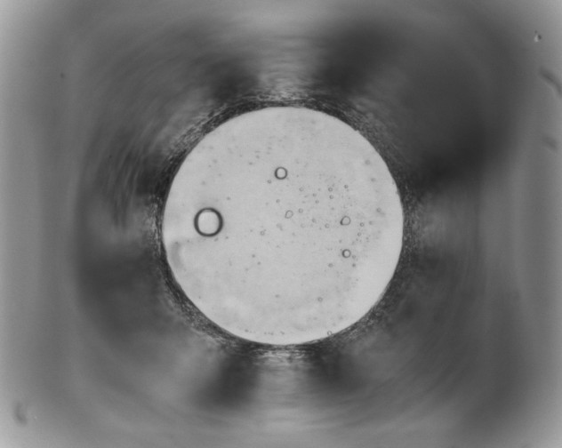 X0000101960415200808011112