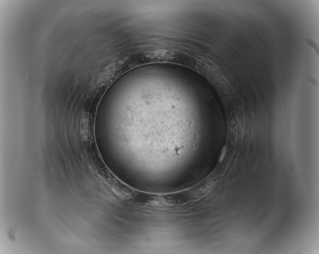 X0000101960416200808011112