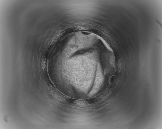 X0000101960417200808011112