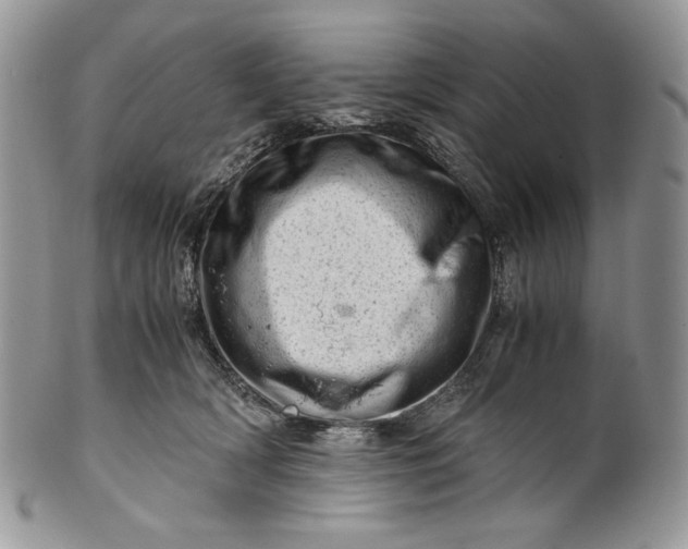 X0000101960418200808011112